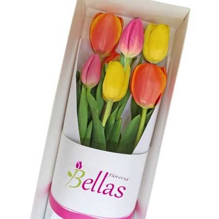 Caja con 6 tulipanes importados (CT-03)