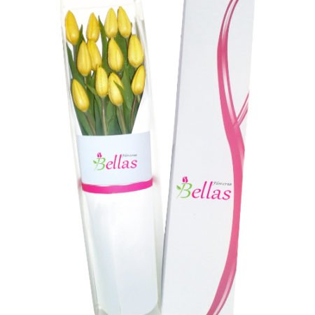Caja con 12 tulipanes importados (CT-04)