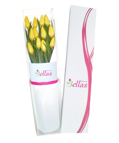 Caja con 12 tulipanes importados (CT-04) - FLORERIAS en Lima - Arreglos  Florales para Difuntos - Envio de Flores