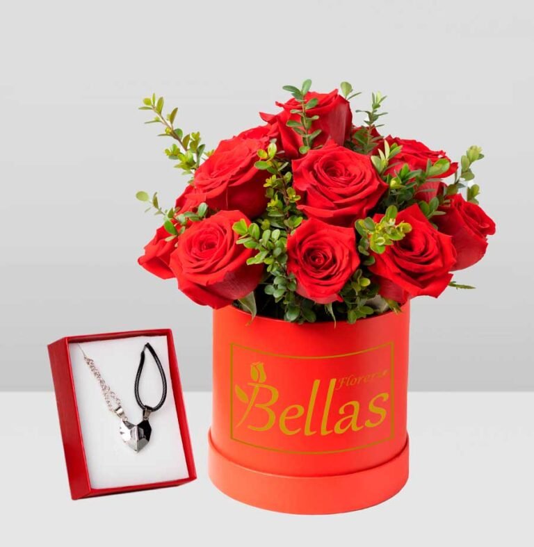 Box rojo con rosas y collar imantado (SV11)